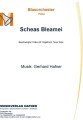Scheas Bleamei - Blasorchester - Polka 