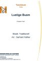 Lustige Buam - Tanzlmusi - Polka 
